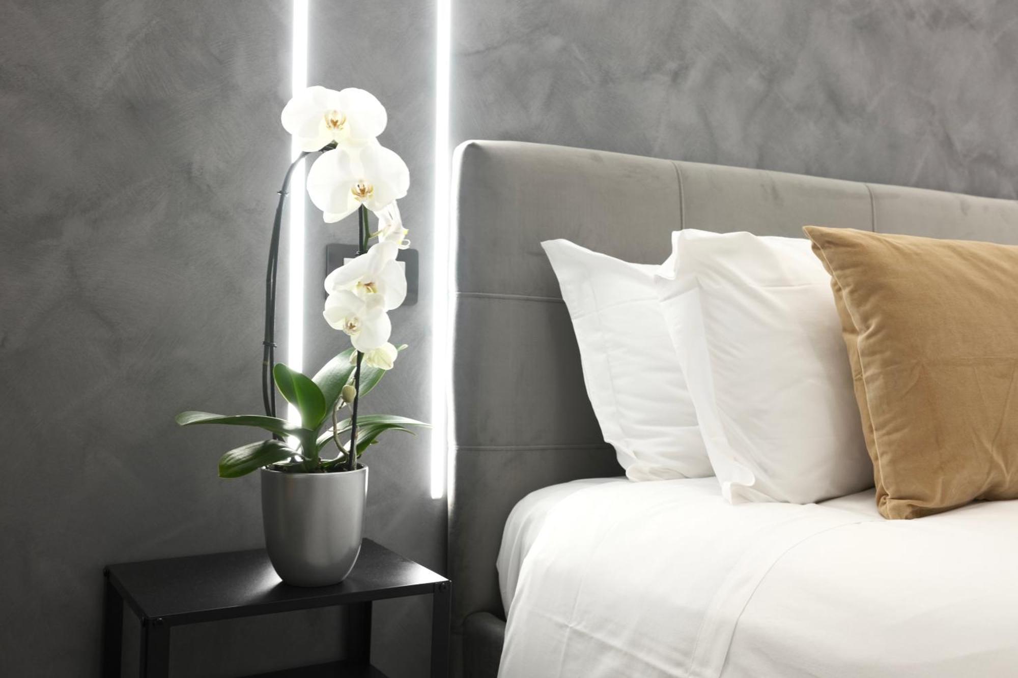 Turati Inn Рим Экстерьер фото